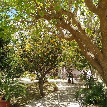 Residence Limoneto Ischia Форио Экстерьер фото