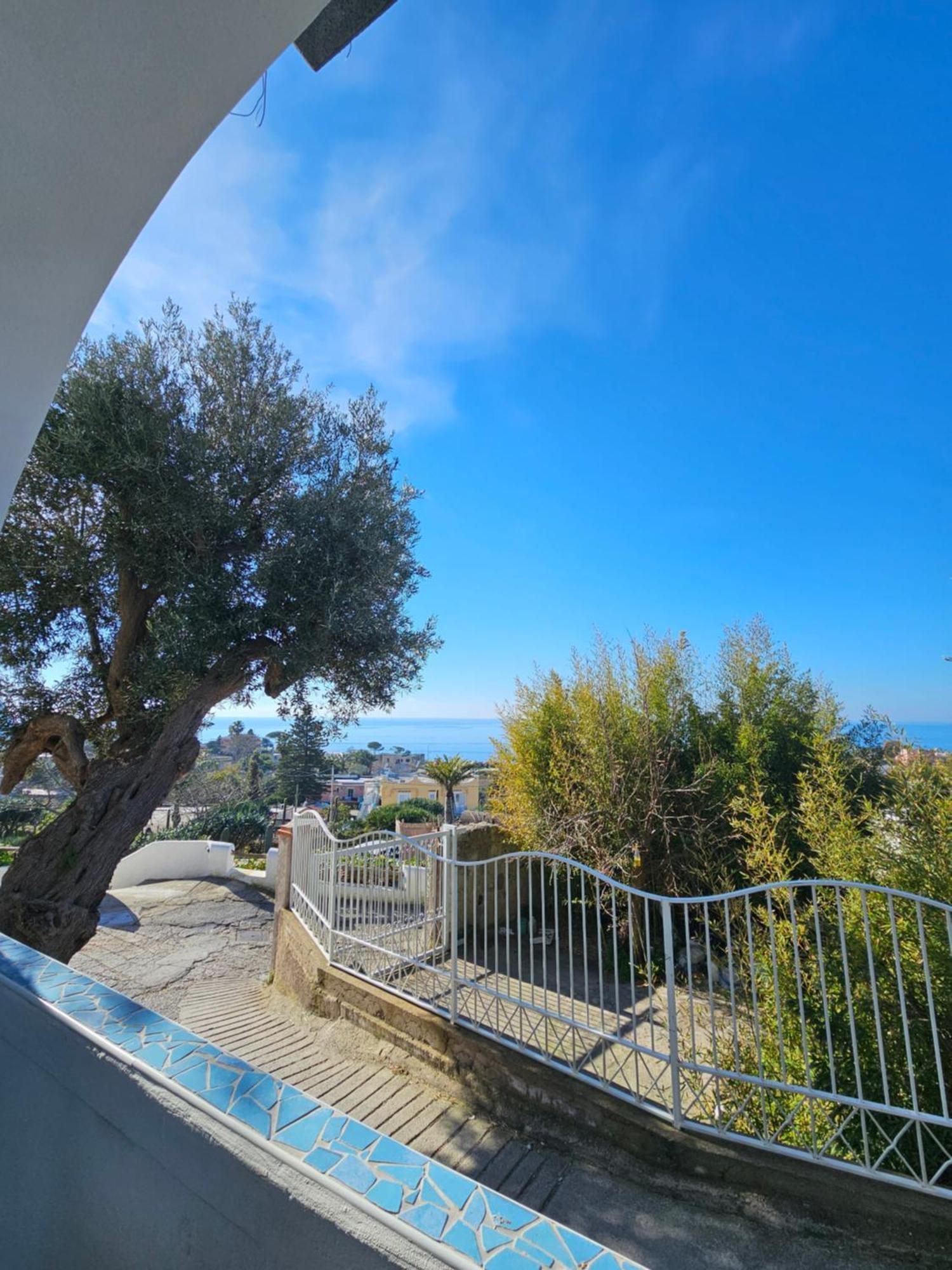 Residence Limoneto Ischia Форио Экстерьер фото