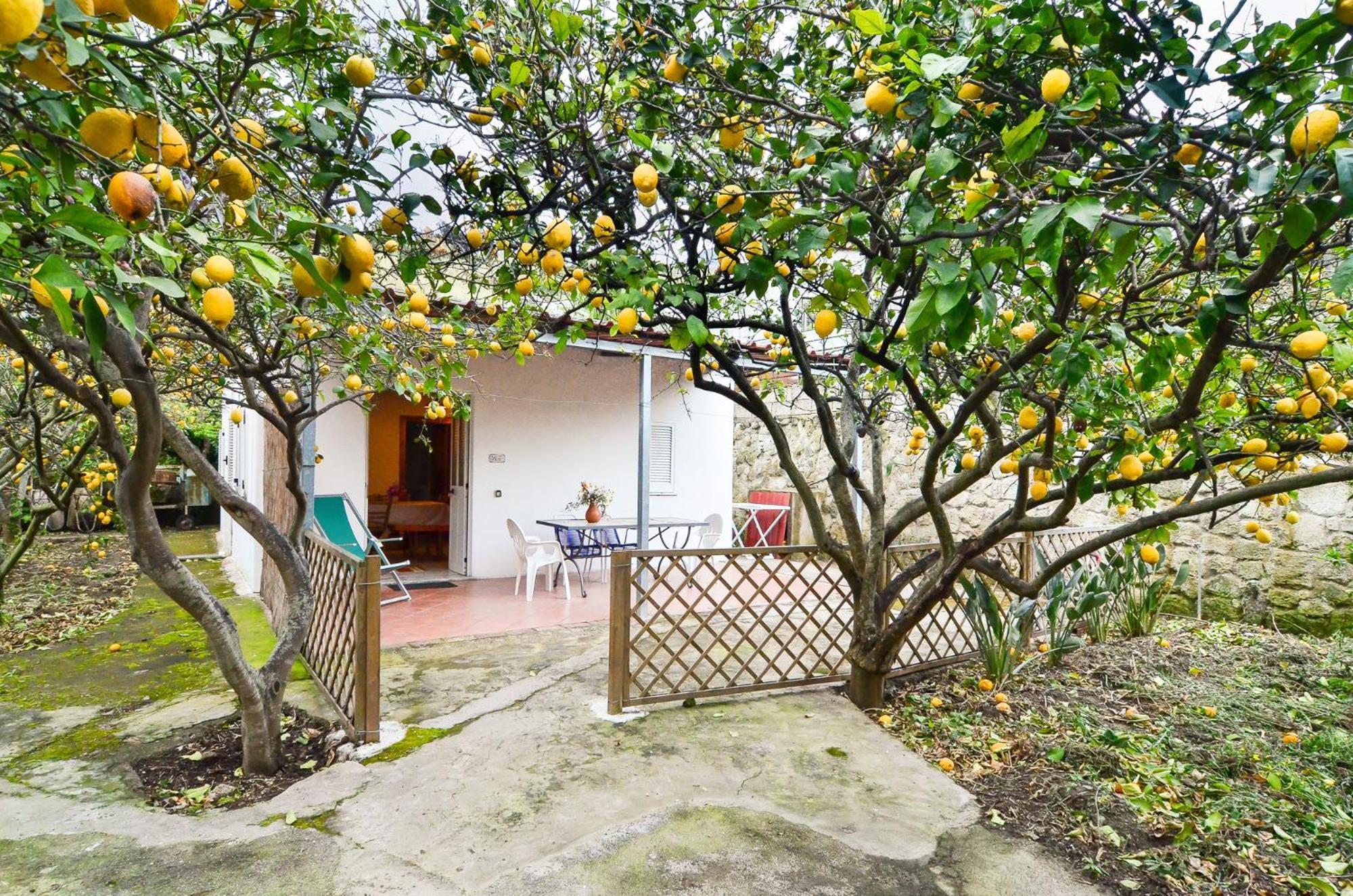 Residence Limoneto Ischia Форио Экстерьер фото