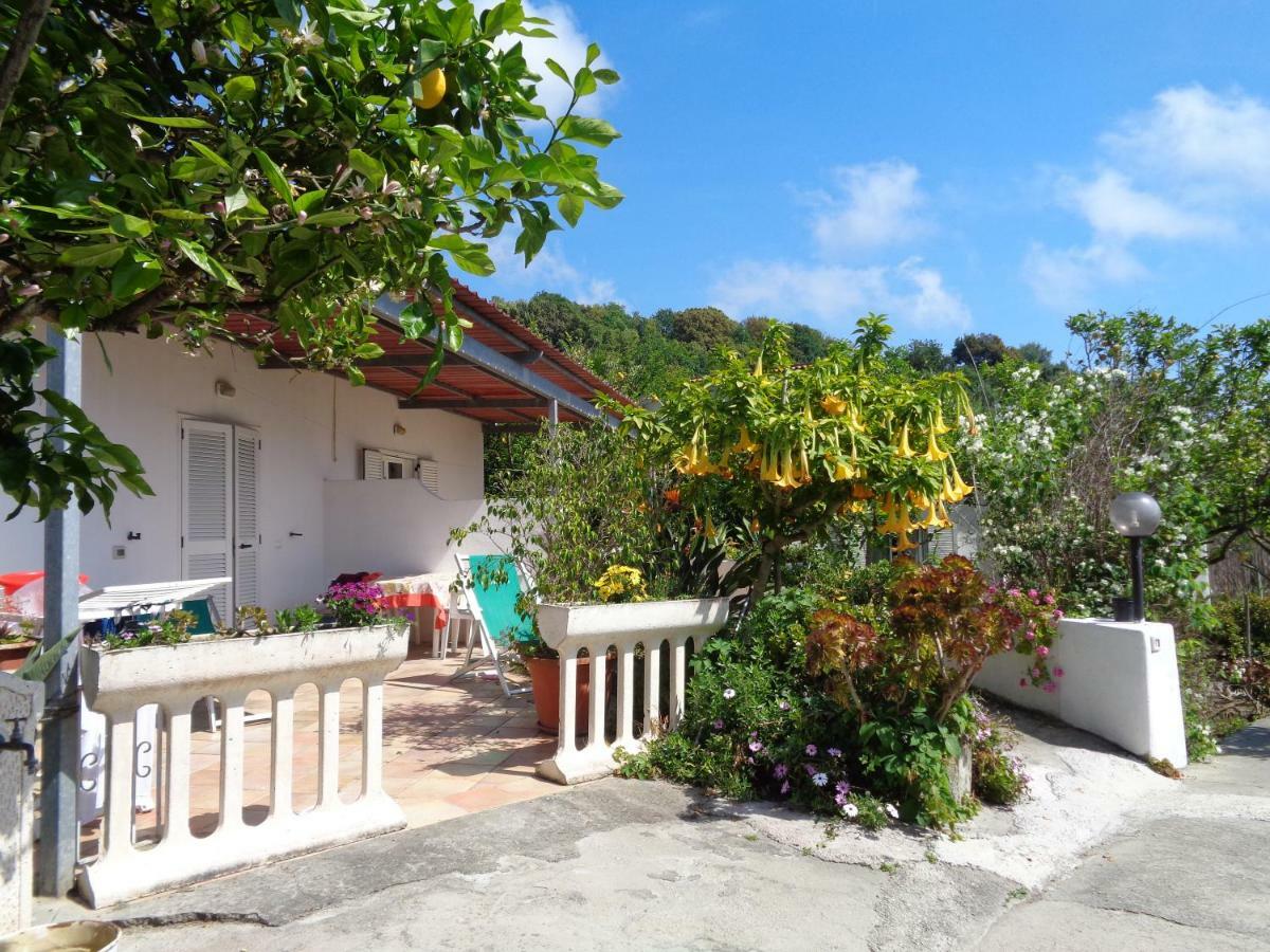Residence Limoneto Ischia Форио Экстерьер фото