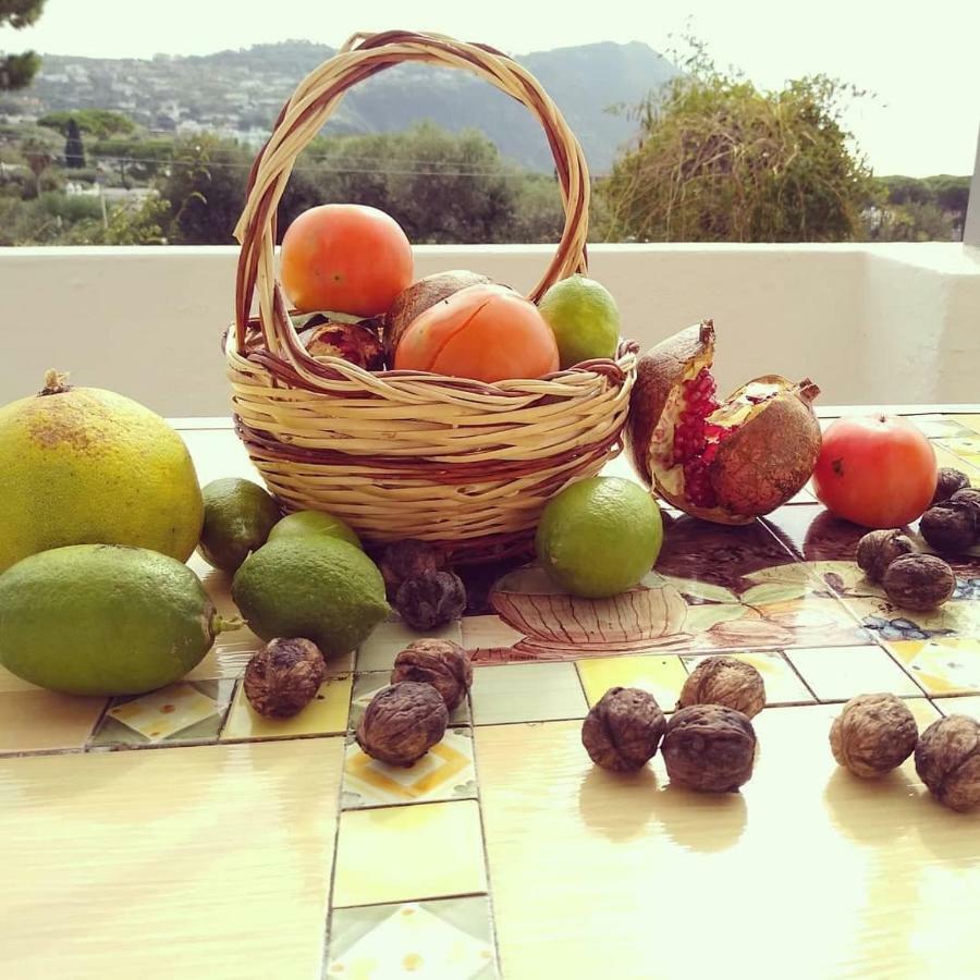 Residence Limoneto Ischia Форио Экстерьер фото