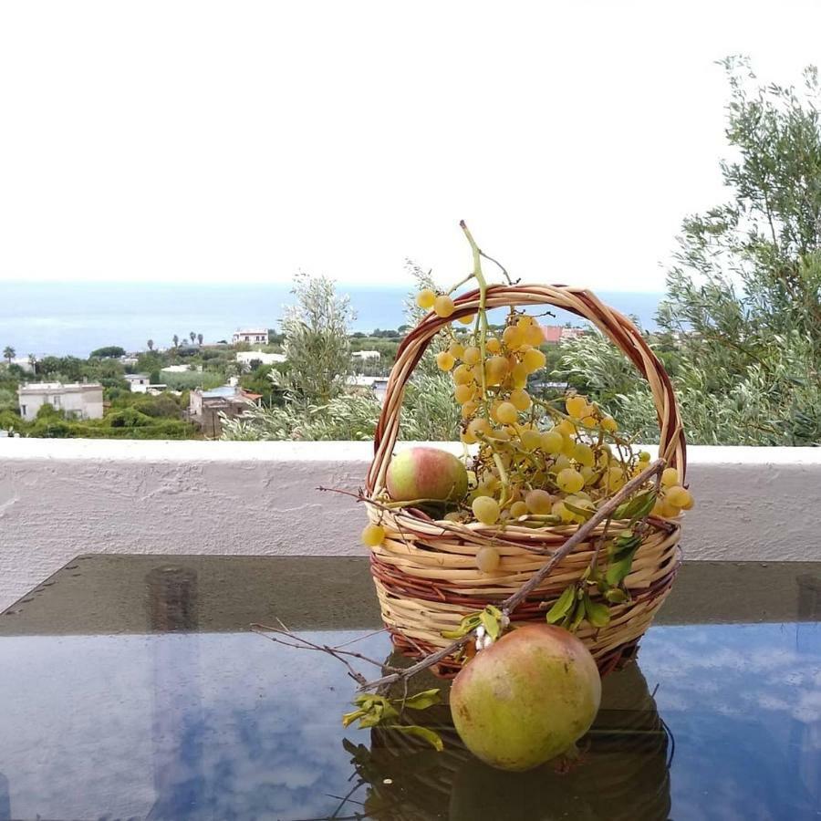 Residence Limoneto Ischia Форио Экстерьер фото