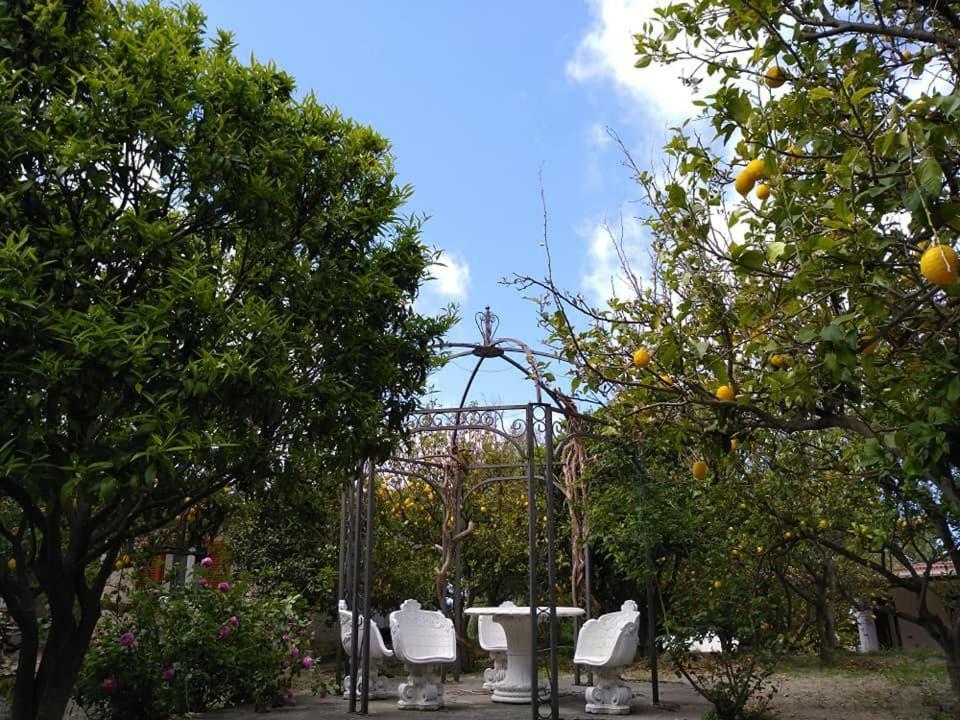 Residence Limoneto Ischia Форио Экстерьер фото