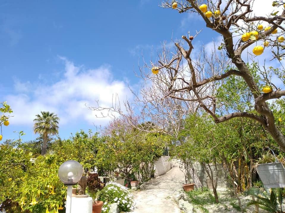 Residence Limoneto Ischia Форио Экстерьер фото